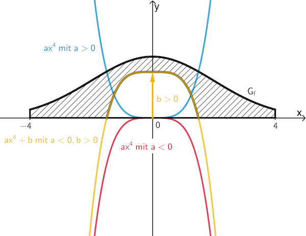 Einfluss der Parameter a und b auf den Verlauf des Graphen von g bezüglich der Modellierung des Fensters der Dachgaube